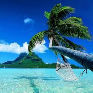 Meet your Posher, Ines